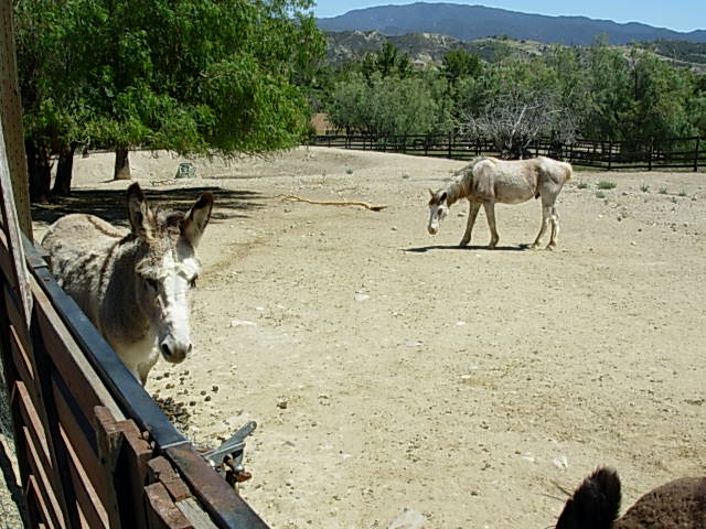 Ferry Ranch
